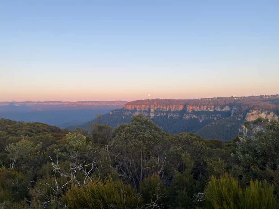 #1 Blue Mountains Tour Scenic World Waterfalls Wildlife Park - The Guides Are Part Of The Product (Not Just Background Noise)