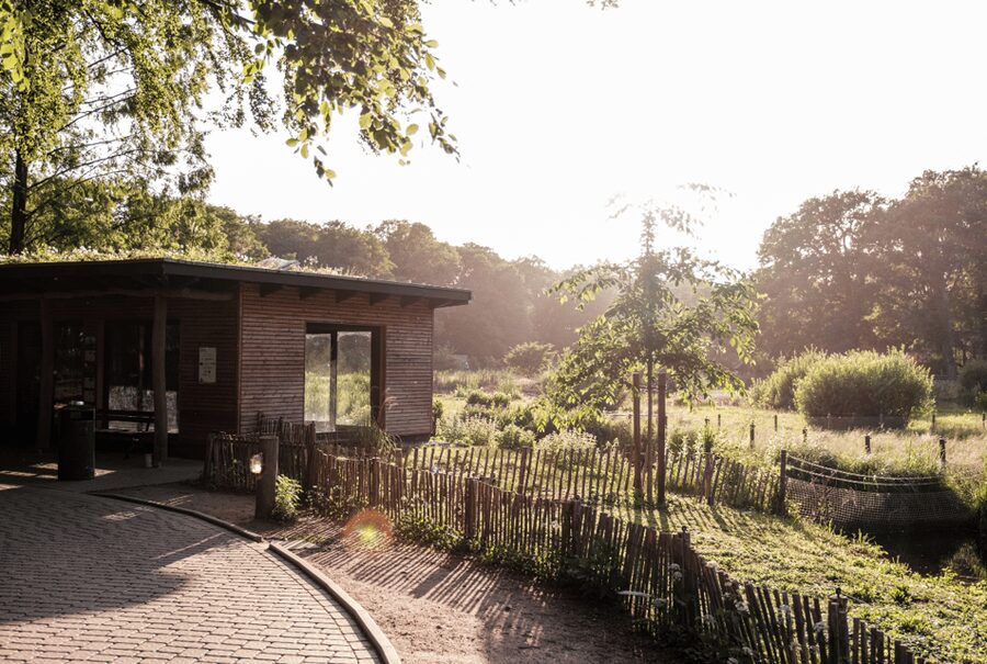 1-day ticket for Schwerin Zoo - The Red List Center: Where You Understand the Why