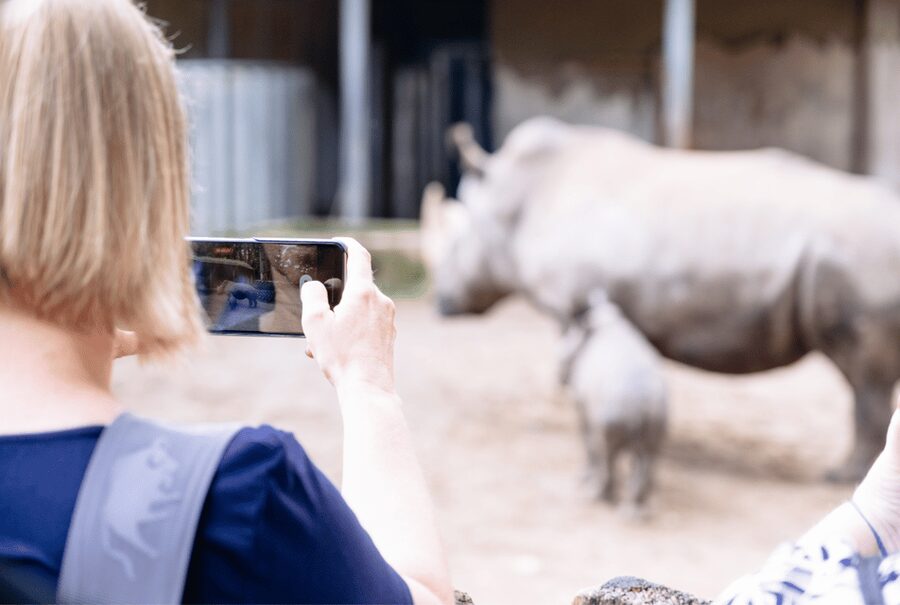 1-day ticket for Schwerin Zoo - Tickets, Value, and Getting Through the Gate Smoothly