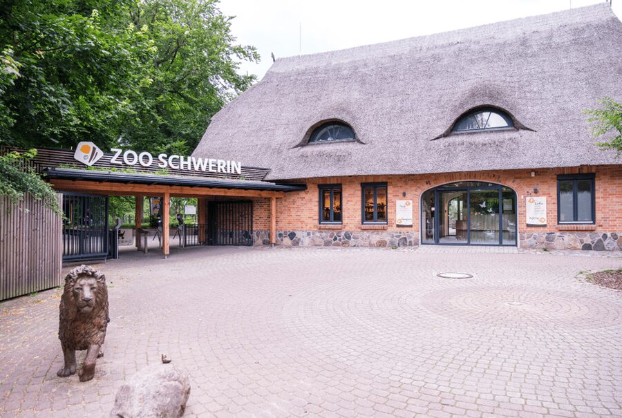 1-day ticket for Schwerin Zoo - Bring Your Dog (On a Lead) and Keep It Relaxed
