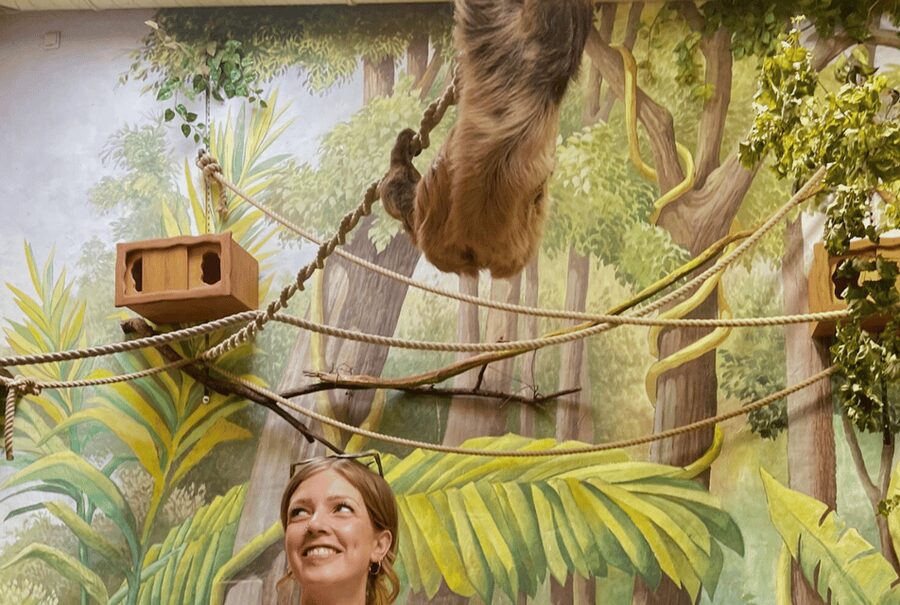 1-day ticket for Schwerin Zoo - Who Should Choose Schwerin Zoo for a Day?