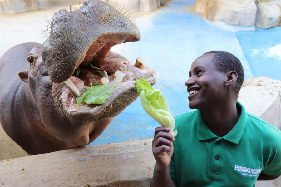 Abu Dhabi: Emirates Park Zoo Entry Ticket - Emirates Park Zoo: value, location, and the real “why”