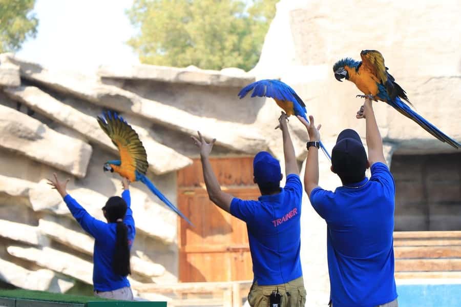 Abu Dhabi: Emirates Park Zoo Entry Ticket - The one-day flow: where to go first