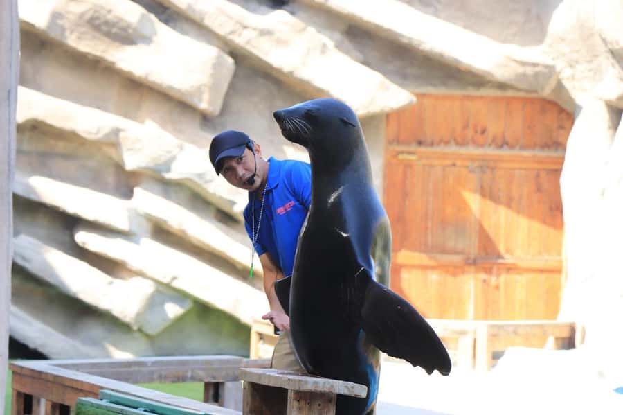 Abu Dhabi: Emirates Park Zoo Entry Ticket - Flamingo Park, Animal Paradise, and the “in-between” areas