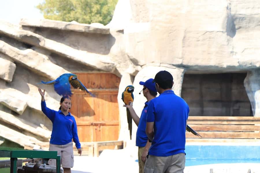 Abu Dhabi: Emirates Park Zoo Entry Ticket - Petting Zoo and interactive options (with height and age rules)