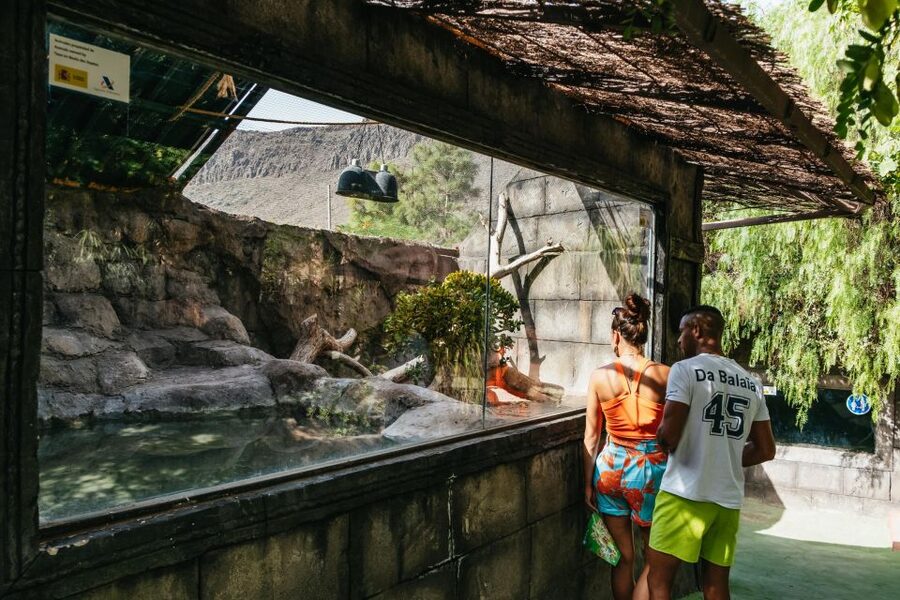 Agüimes: Cocodrilo Park Zoo Entry Ticket - A big animal mix without the chaos