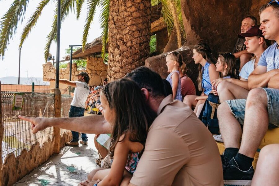 Agüimes: Cocodrilo Park Zoo Entry Ticket - Comfort and logistics: what actually matters on the ground