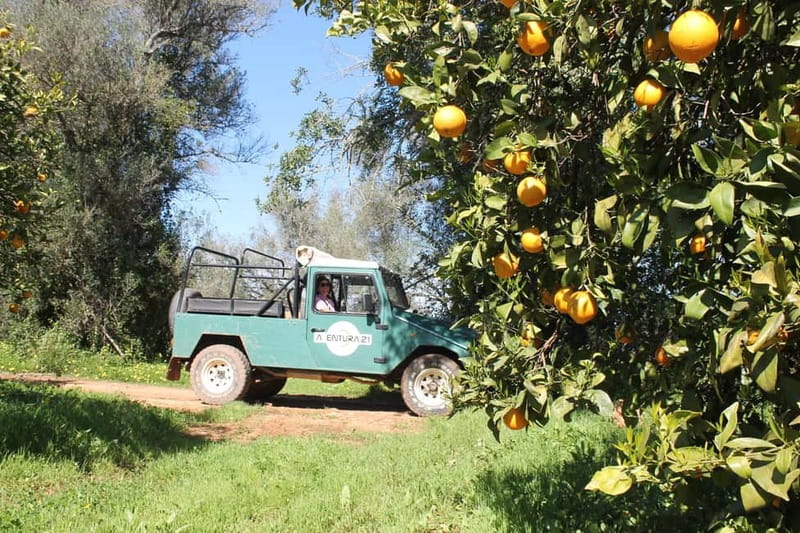 Albufeira Jeep Safari with Zoo - Who Should Book This Jeep Safari With Zoo?