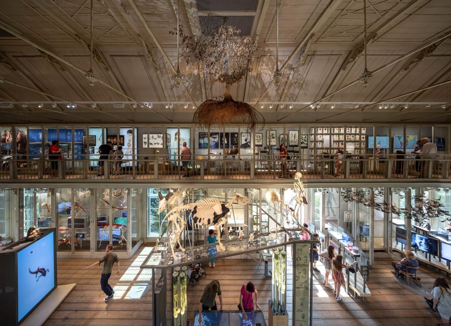 Amsterdam: ARTIS Royal Zoo and ARTIS Groote Museum Ticket - Price and Value: Is $55 a Smart Use of Time?