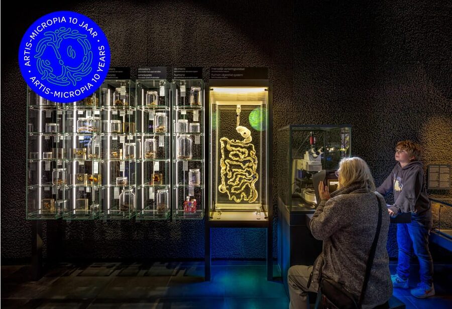 Amsterdam: Artis Royal Zoo & ARTIS-Micropia Combo Ticket - How long to plan and what a full day feels like