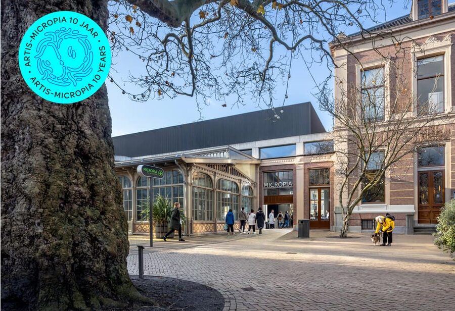Amsterdam: Artis Royal Zoo & ARTIS-Micropia Combo Ticket - Planetarium included: one short science hit to reset your day