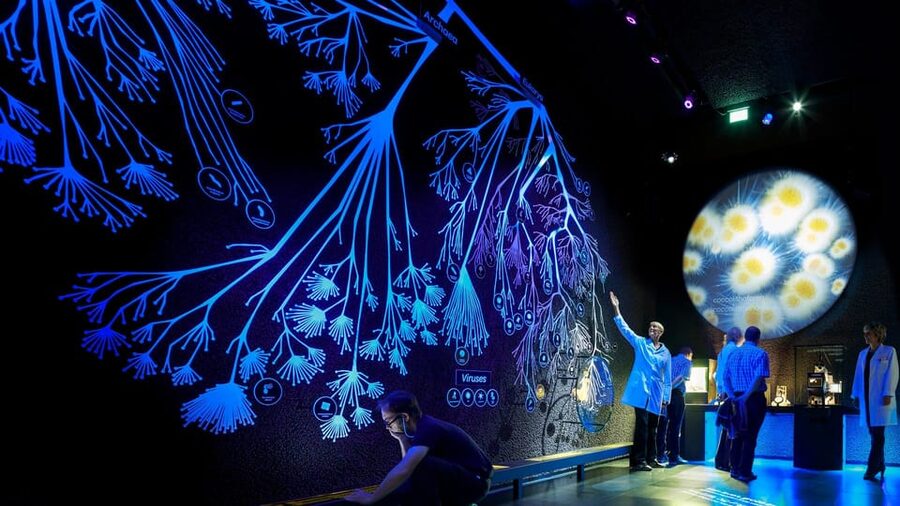 Amsterdam: Artis Royal Zoo & ARTIS-Micropia Combo Ticket - Timing matters: planning around the Micropia time slot