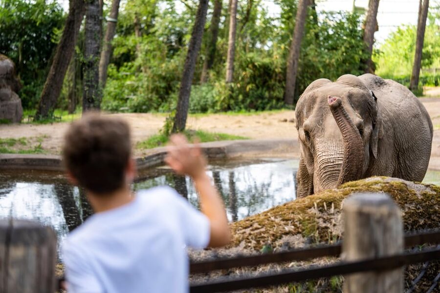 Arnhem: Burgers' Zoo Entry Ticket - Key highlights worth aiming for