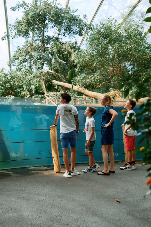 Arnhem: Burgers' Zoo Entry Ticket - Desert, Ocean, and Safari plains: switching ecosystems without leaving the park