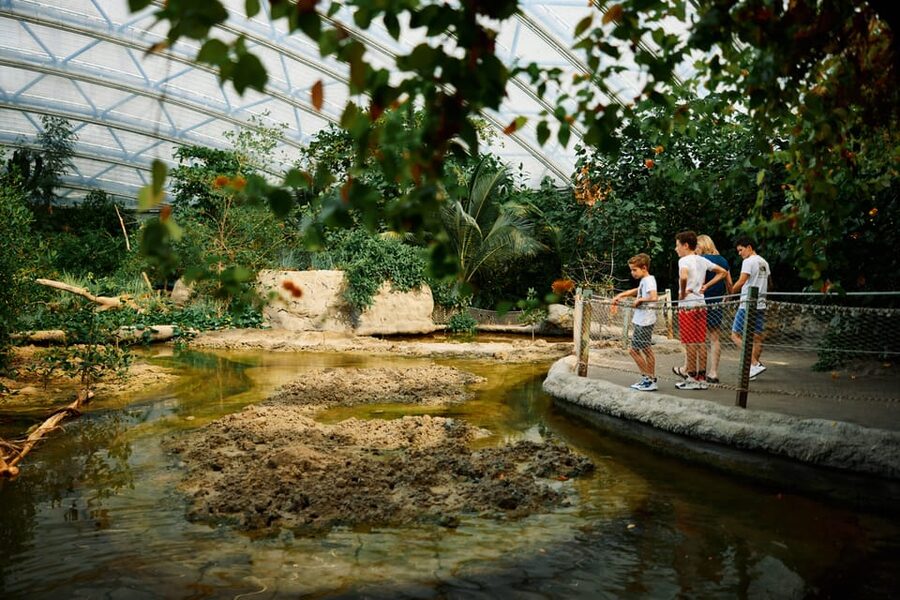 Arnhem: Burgers' Zoo Entry Ticket - A realistic 8-hour plan across 45 hectares