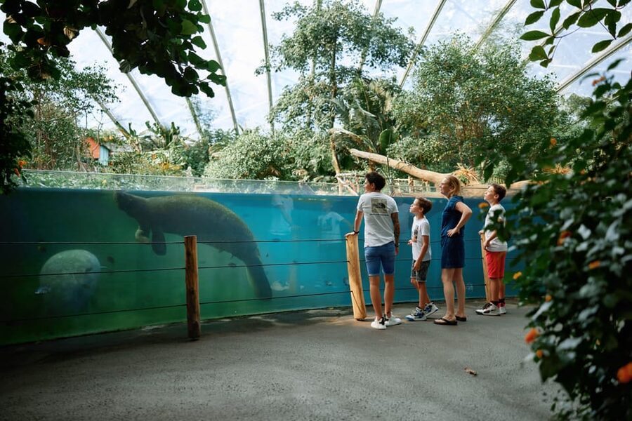 Arnhem: Burgers' Zoo Entry Ticket - Getting the most out of your visit (and avoiding common frustrations)
