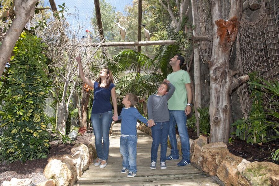 Arona: Entry Ticket to Tenerife's Jungle Park Zoo - Key things to know before you go