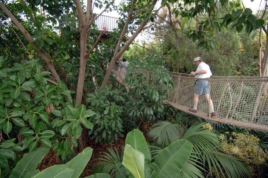 Arona: Entry Ticket to Tenerife's Jungle Park Zoo - Jungle Park Basics: what this €-value day ticket includes