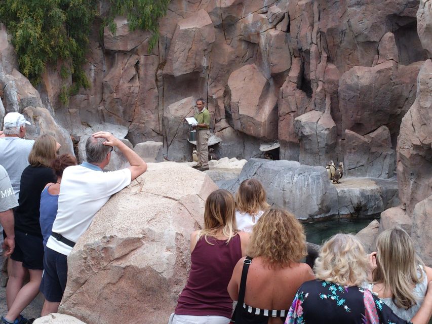 Arona: Entry Ticket to Tenerife's Jungle Park Zoo - Sea lions, penguin feeding, and how to time the animal moments