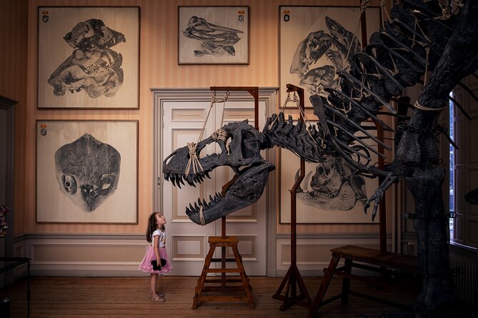 Art Zoo Museum Amsterdam Tickets - Key points before you go