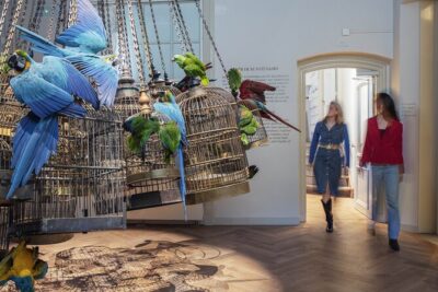 Art Zoo Museum Amsterdam Tickets - The self-guided English audio tour: how to use your 90 minutes well