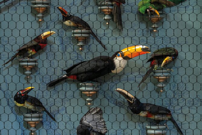 Art Zoo Museum Amsterdam Tickets - The taxidermy art details worth slowing down for