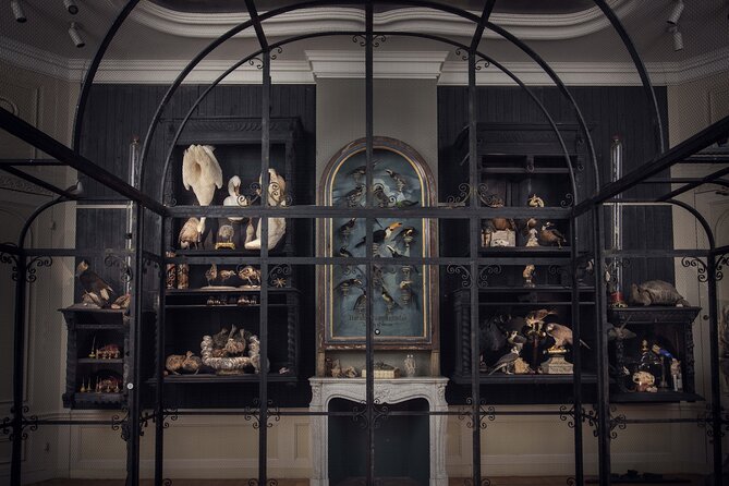 Art Zoo Museum Amsterdam Tickets - Birds, snakes, crocodiles, and the behind-the-scenes feel