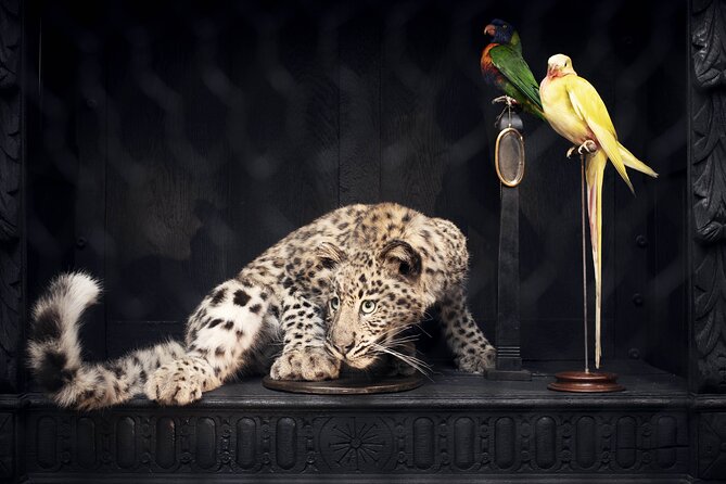 Art Zoo Museum Amsterdam Tickets - Who this museum fits best (and where it might not)