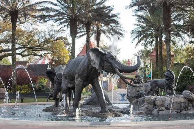 Audubon Zoo Ticket - Key highlights you’ll care about