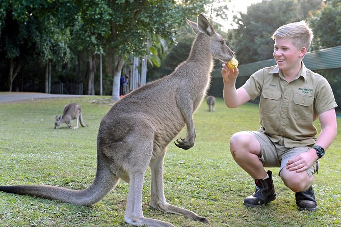 Australia Zoo Day Trip from Brisbane - Quick hits before you go