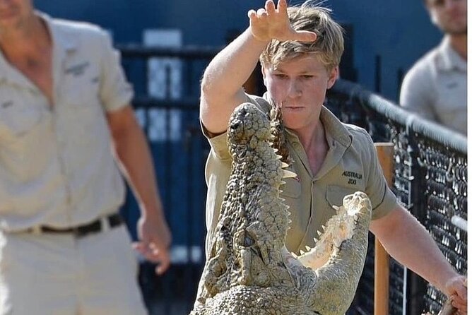 Australia Zoo Day Trip from Brisbane - Six Hours to See Wombats, Tigers, Crocodiles, and More