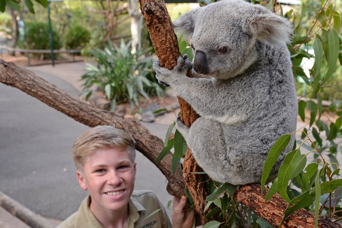 Australia Zoo Day Trip from Brisbane - Shows at Crocoseum and the Heat-Sun Reality