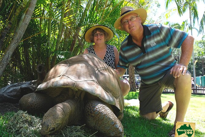 Australia Zoo Day Trip from Brisbane - Animal Hospital Access: A Different Kind of Zoo Value