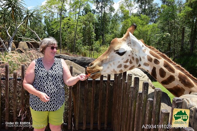 Australia Zoo Day Trip from Brisbane - Price and Value: Why $128.39 Works Better Than DIY