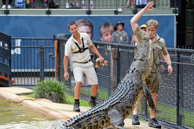 Australia Zoo Transfer from Noosa and Sunshine Coast - Inside Australia Zoo: your 10am to 4pm window