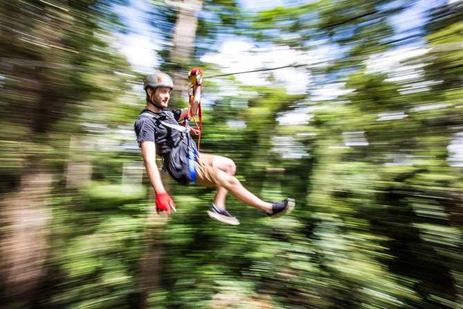Australia Zoo Transfer from Noosa and Sunshine Coast - Group size, comfort, and why this transfer beats DIY driving