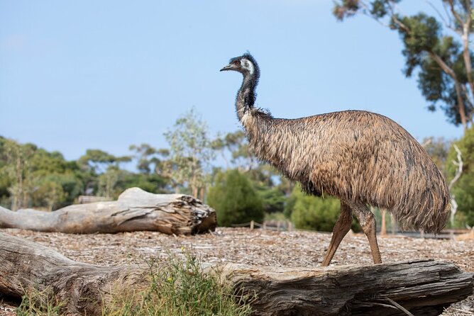 Australian Experience at Werribee Open Range Zoo - excl. entry - Should you book this Werribee Open Range Zoo Australian Trail encounter?
