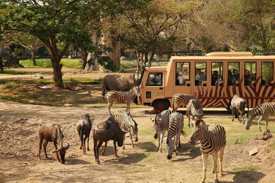 Bali: Safari Zoo and Ubud Palace and Market Day Tour - Key highlights that matter on the day