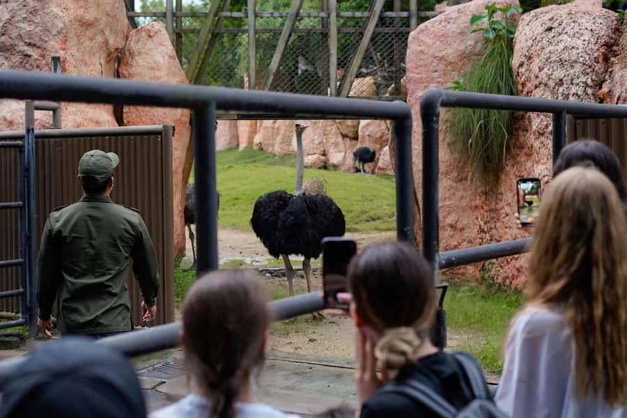 Bali Zoo: Behind Closed Doors Afternoon Safari Guided Tour - Key highlights at Bali Zoo After-Hours