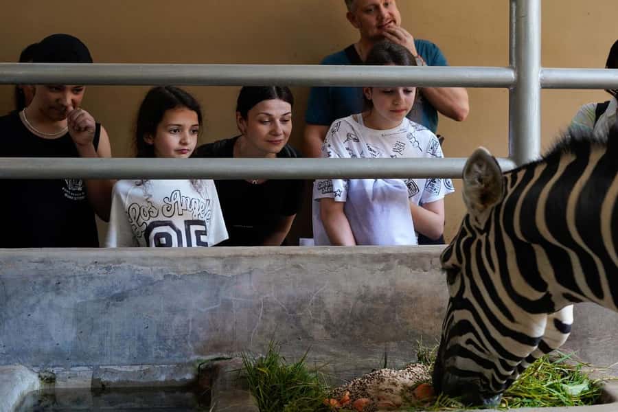 Bali Zoo: Behind Closed Doors Afternoon Safari Guided Tour - Why the 3–6 PM after-hours timing changes everything