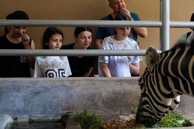 Bali Zoo: Behind Closed Doors Afternoon Safari Guided Tour - Price and value: $52 makes sense if you care about guided encounters