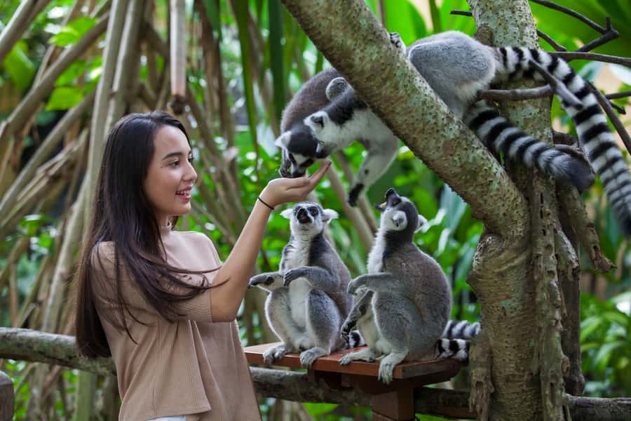 Bali Zoo Entrance Ticket - Key Things to Know Before You Go