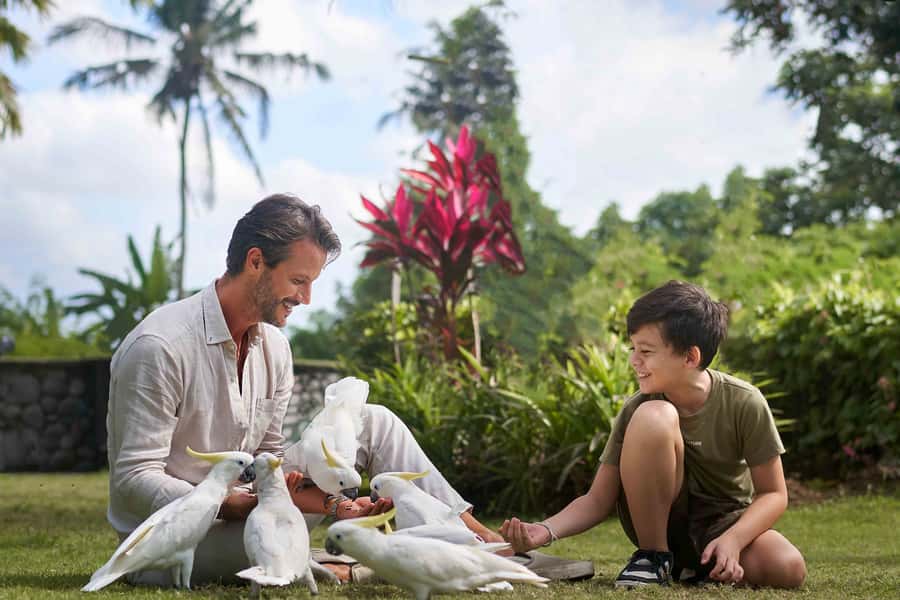 Bali Zoo: Guided Breakfast With Observing Orangutans - How Much Zoo Time You Actually Get (and How to Use It)