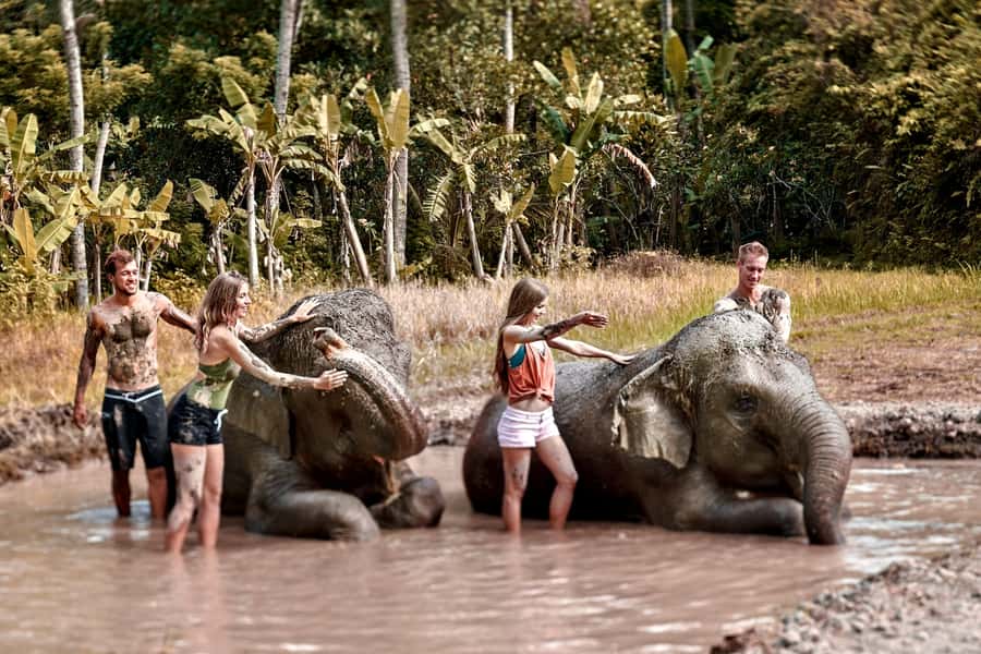 Bali Zoo: Guided Ethical Elephant Care Experience - The 7-Hour Flow: How the Morning Turns Into a Full Zoo Day