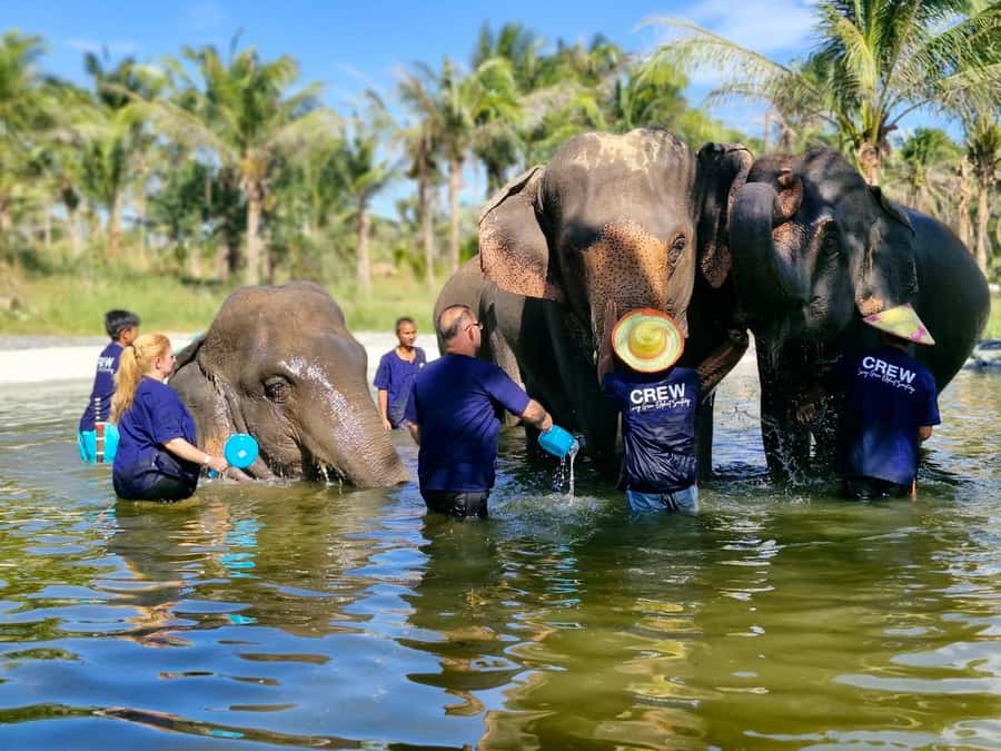 Bangkok: Elephant Sanctuary &Khao Kheow Open Zoo (Moodeng) - Entering the Elephant Jungle Sanctuary Program (2.25 Hours)