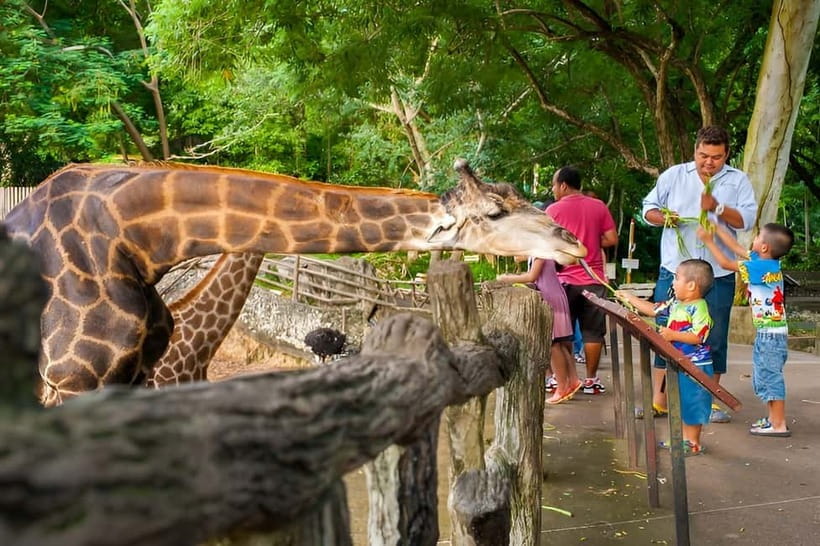 Bangkok/Pattaya: Khao Kheow Zoo Private Tour with Pickup - Key Things That Make This Tour Feel Easier