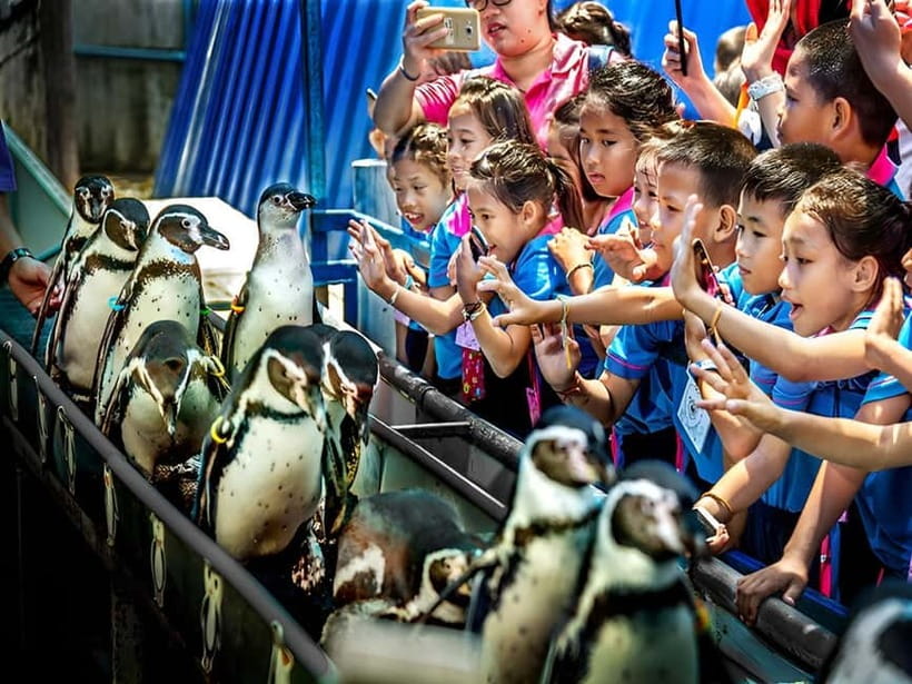 Bangkok/Pattaya: Khao Kheow Zoo Private Tour with Pickup - Driver Support: Friendly, Helpful, and Usually Hands-On