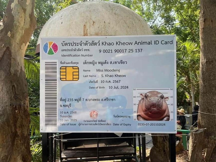 Bangkok/Pattaya: Khao Kheow Zoo Private Tour with Pickup - Price and Value: When $64 Makes Sense