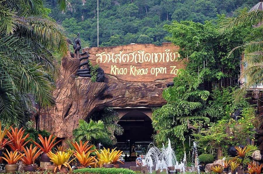 Bangkok to Moo Deng: Private Transfer To Khao Kheow Zoo - What Else You’ll See After the Baby Hippo