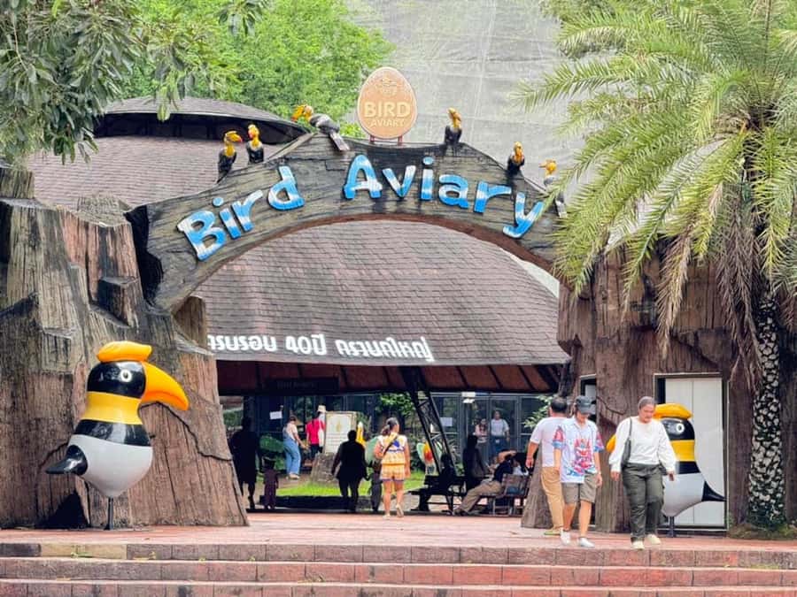 Bangkok to Moo Deng: Private Transfer To Khao Kheow Zoo - The Hotel Pickup That Actually Makes Sense